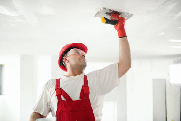 Best Repainting for Renovations  in Big Pine Key, FL